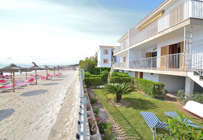 Apartment in Alcúdia - Fantastic 174 magnificent flat on the beach, with balcony, air conditioning and WiFi Apartment in Alcúdia - Fantastic 174 magnificent flat on the beach, with balcony, air conditioning and WiFi