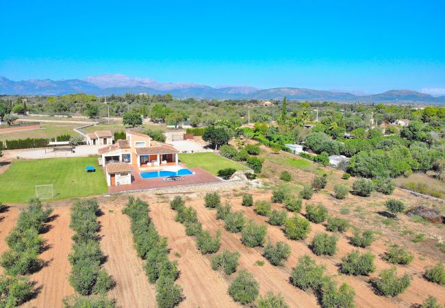 Villa in Muro - Son Morei de les Penyes 007 luxurious villa with private pool, jacuzzi, ping pong, barbecue and air conditioning Villa in Muro - Son Morei de les Penyes 007 luxurious villa with private pool, jacuzzi, ping pong, barbecue and air conditioning
