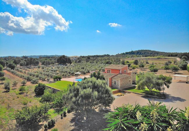 Villa in Muro - Son Morei de les Penyes 007 luxurious villa with private pool, jacuzzi, ping pong, barbecue and air conditioning Villa in Muro - Son Morei de les Penyes 007 luxurious villa with private pool, jacuzzi, ping pong, barbecue and air conditioning