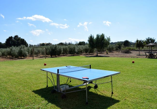Villa in Muro - Son Morei de les Penyes 007 luxurious villa with private pool, jacuzzi, ping pong, barbecue and air conditioning Villa in Muro - Son Morei de les Penyes 007 luxurious villa with private pool, jacuzzi, ping pong, barbecue and air conditioning