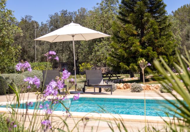 Villa in Muro - Casa Nuria 019 fantastic finca with private pool, terrace, garden and billiard Villa in Muro - Casa Nuria 019 fantastic finca with private pool, terrace, garden and billiard