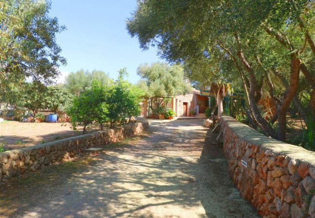 Country house in Campos - Sa Costa 411 rustic finca with private pool, terrace, garden and air conditioning Country house in Campos - Sa Costa 411 rustic finca with private pool, terrace, garden and air conditioning