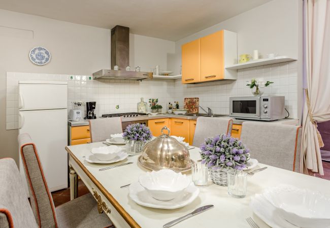 Apartment in Lucca - Casa Simonetta: Modern and Antique Ground Floor Apartment inside the Walls of Lucca Apartment in Lucca - Casa Simonetta: Modern and Antique Ground Floor Apartment inside the Walls of Lucca