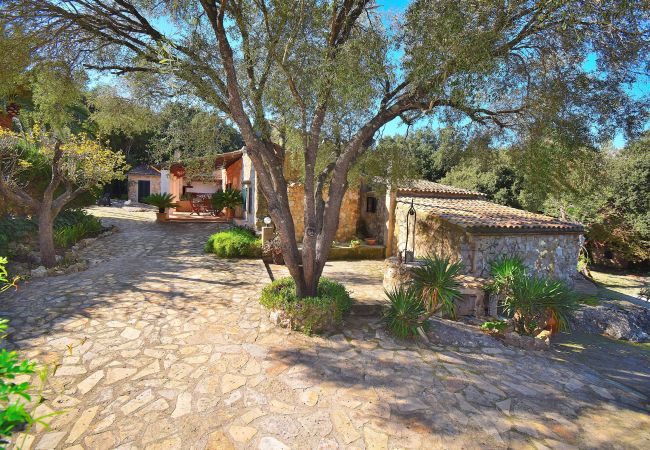 Country house in Pollensa - Rural and friendly, Casa de Mercedes Pollensa 057 Country house in Pollensa - Rural and friendly, Casa de Mercedes Pollensa 057