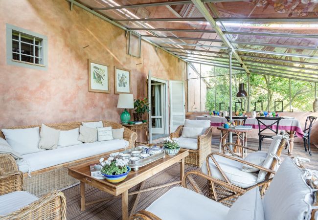 Villa in Migliarino - LIMONAIA Romantic Farmhouse in the Pinewood, Private Pool close to the Beach Villa in Migliarino - LIMONAIA Romantic Farmhouse in the Pinewood, Private Pool close to the Beach