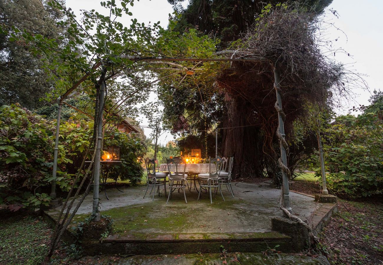 Villa in Migliarino - LIMONAIA Romantic Farmhouse in the Pinewood, Private Pool close to the Beach Villa in Migliarino - LIMONAIA Romantic Farmhouse in the Pinewood, Private Pool close to the Beach