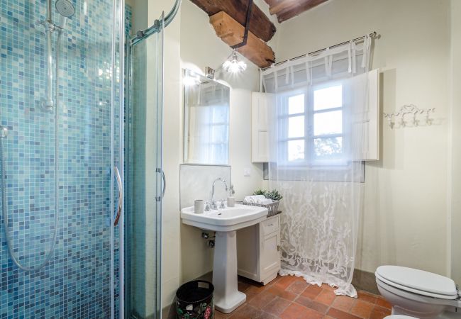 Villa in Capannori - FRANTOIO a Romantic Farmhouse Apartment with Terrace and Views Villa in Capannori - FRANTOIO a Romantic Farmhouse Apartment with Terrace and Views