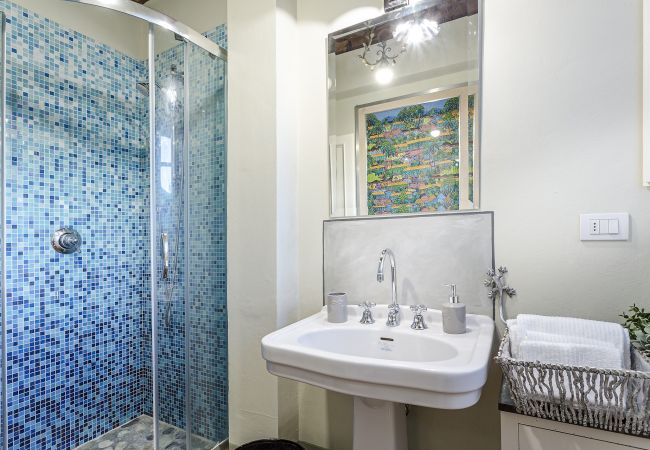 Villa in Capannori - FRANTOIO a Romantic Farmhouse Apartment with Terrace and Views Villa in Capannori - FRANTOIO a Romantic Farmhouse Apartment with Terrace and Views
