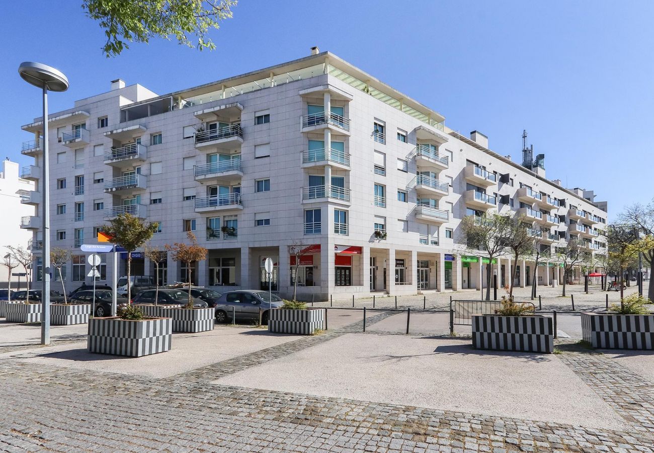 Expo Delight by Homing  Expo Delight by Homing