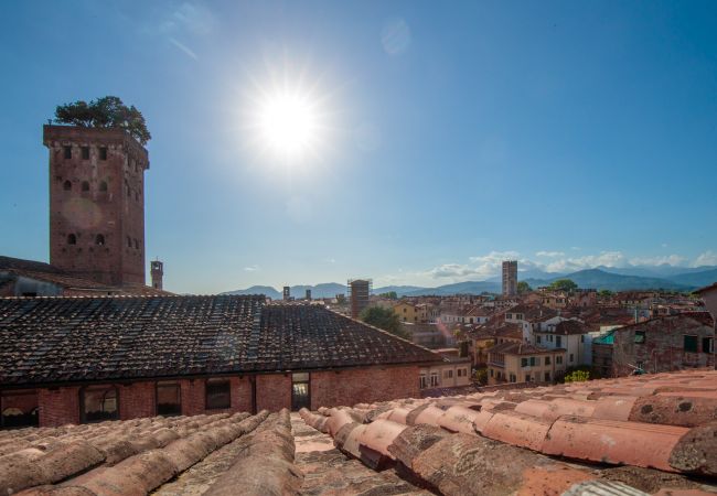 Apartment in Lucca - Spacious Home with Elevator along Via Guinigi inside the Lucca Walls Apartment in Lucca - Spacious Home with Elevator along Via Guinigi inside the Lucca Walls