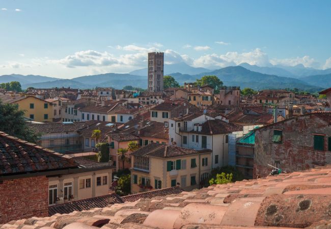 Apartment in Lucca - Spacious Home with Elevator along Via Guinigi inside the Lucca Walls Apartment in Lucca - Spacious Home with Elevator along Via Guinigi inside the Lucca Walls