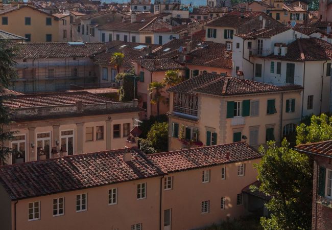 Apartment in Lucca - Spacious Home with Elevator along Via Guinigi inside the Lucca Walls Apartment in Lucca - Spacious Home with Elevator along Via Guinigi inside the Lucca Walls