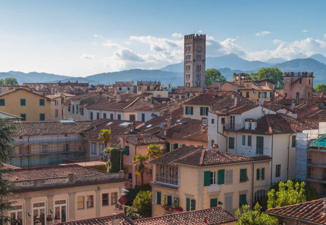 Apartment in Lucca - Spacious Home with Elevator along Via Guinigi inside the Lucca Walls Apartment in Lucca - Spacious Home with Elevator along Via Guinigi inside the Lucca Walls