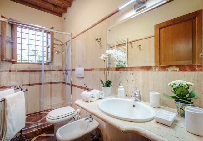 Villa in Orentano - 11 bedrooms Luxury Farmhouse, Private Pool, Jacuzzi, Private Tennis Villa in Orentano - 11 bedrooms Luxury Farmhouse, Private Pool, Jacuzzi, Private Tennis