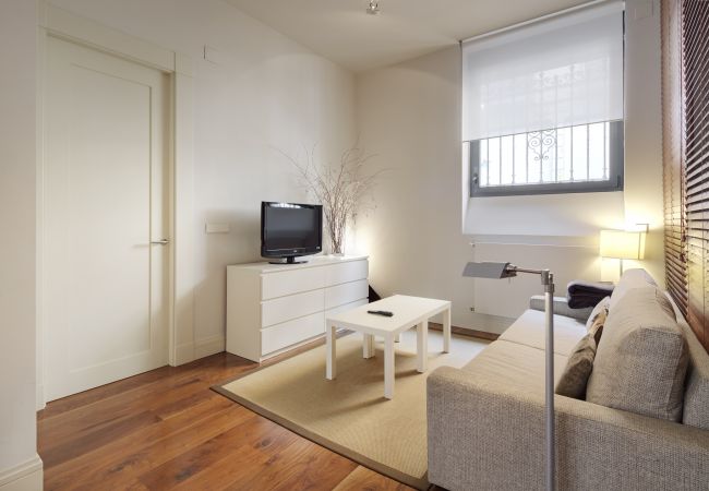 Apartment in San Sebastián/Donostia - Fotos MAHATS Apartment in San Sebastián/Donostia - Fotos MAHATS