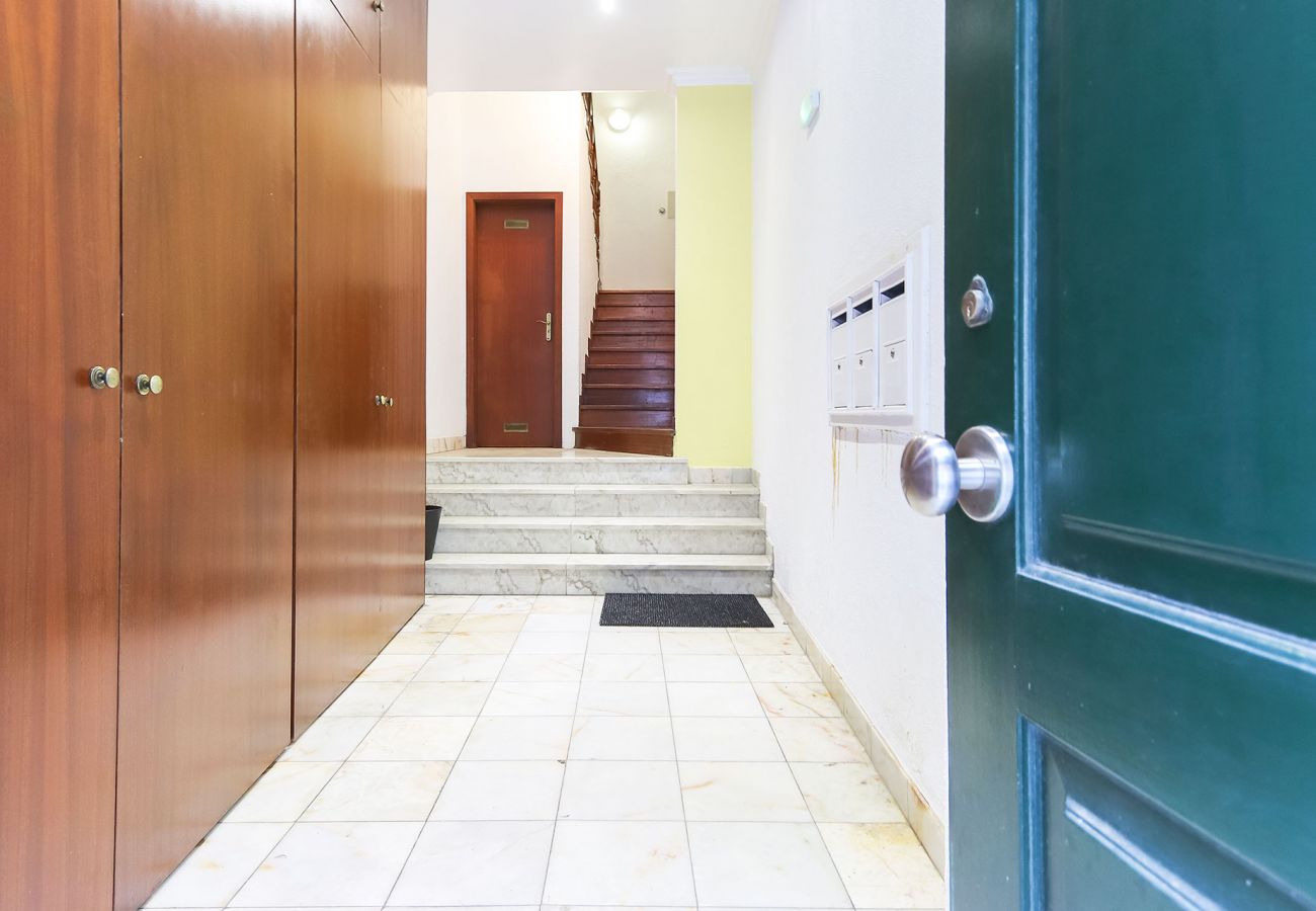 Apartment in Lisbon - RATO ELEGANT Apartment in Lisbon - RATO ELEGANT