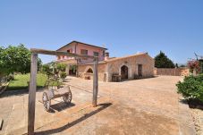 Villa in Muro - Biniaco 239 magnificent villa with private pool, large outdoor area, barbecue and air conditioning