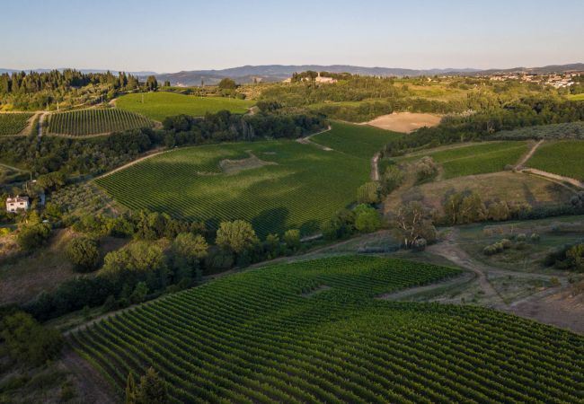 Villa in Marcialla - VILLA CHIANTI, your Secret 4 Bedrooms Retreat with View over the Vineyards in Marcialla Villa in Marcialla - VILLA CHIANTI, your Secret 4 Bedrooms Retreat with View over the Vineyards in Marcialla