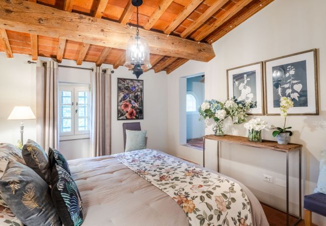 Villa in Montecarlo - 10 Bedrooms Villa in Lucca, SPA, Panoramic Pool Villa in Montecarlo - 10 Bedrooms Villa in Lucca, SPA, Panoramic Pool