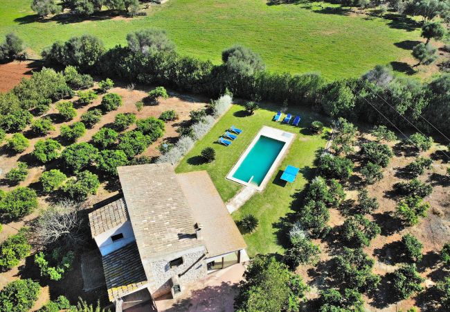 Country house in Muro - Son Morey Tarongers 108 fantastic finca with private pool, garden, terrace and air conditioning Country house in Muro - Son Morey Tarongers 108 fantastic finca with private pool, garden, terrace and air conditioning