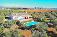 Large finca surrounded by nature in Can Picafort, for rent