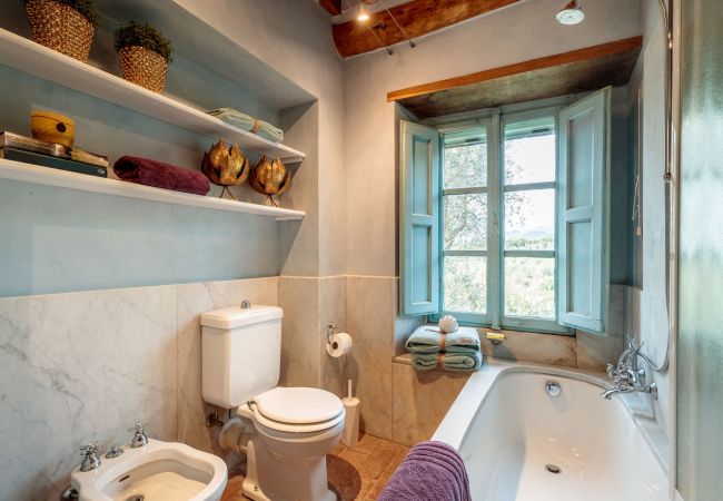 Villa in Lucca - Villa Gufo The Place to Be. Panoramic Private Pool with a Lucca View and Private Tennis Court Villa in Lucca - Villa Gufo The Place to Be. Panoramic Private Pool with a Lucca View and Private Tennis Court