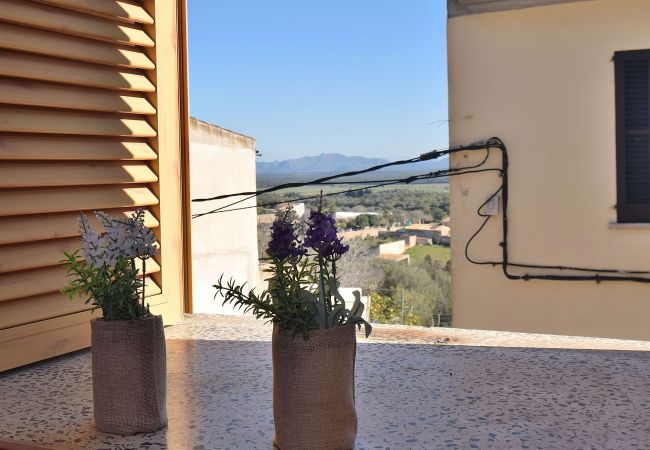 House in Maria de la salut - Sa Raval 082 cosy traditional village house with terrace and WiFi House in Maria de la salut - Sa Raval 082 cosy traditional village house with terrace and WiFi