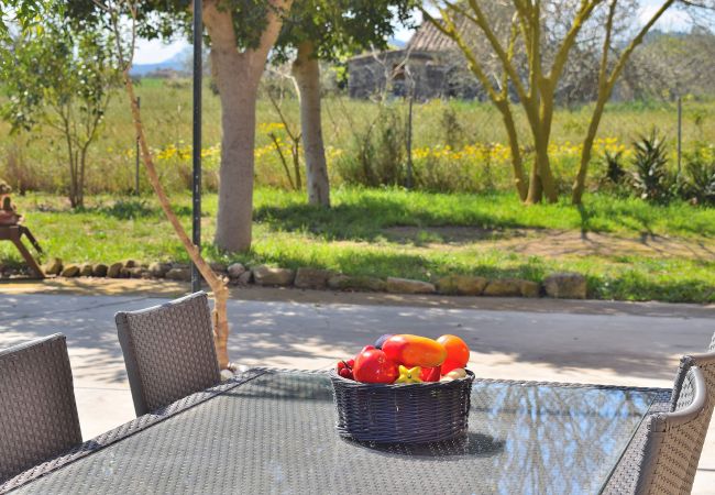 Country house in Sineu - Es Camp Pla 087 cosy finca with private pool, terrace, garden, barbecue and air-conditioning Country house in Sineu - Es Camp Pla 087 cosy finca with private pool, terrace, garden, barbecue and air-conditioning