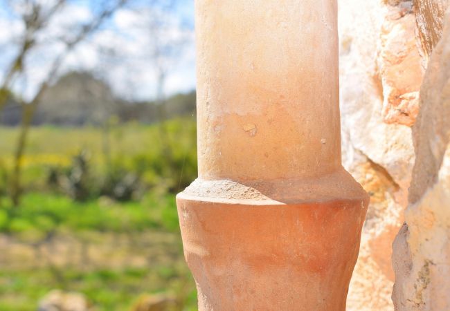 Country house in Sineu - Es Camp Pla 087 cosy finca with private pool, terrace, garden, barbecue and air-conditioning Country house in Sineu - Es Camp Pla 087 cosy finca with private pool, terrace, garden, barbecue and air-conditioning
