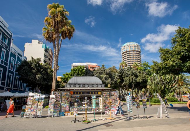 Studio in Las Palmas de Gran Canaria - OK Las Canteras 5E by CanariasGetaway Studio in Las Palmas de Gran Canaria - OK Las Canteras 5E by CanariasGetaway