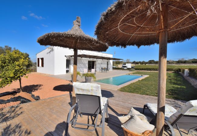 Country house in Sineu - Son Alcaines Petit 249 cosy finca with private pool, terrace, barbecue and WiFi Country house in Sineu - Son Alcaines Petit 249 cosy finca with private pool, terrace, barbecue and WiFi
