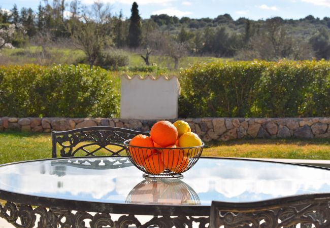 Country house in Sineu - Son Alcaines Petit 249 cosy finca with private pool, terrace, barbecue and WiFi Country house in Sineu - Son Alcaines Petit 249 cosy finca with private pool, terrace, barbecue and WiFi