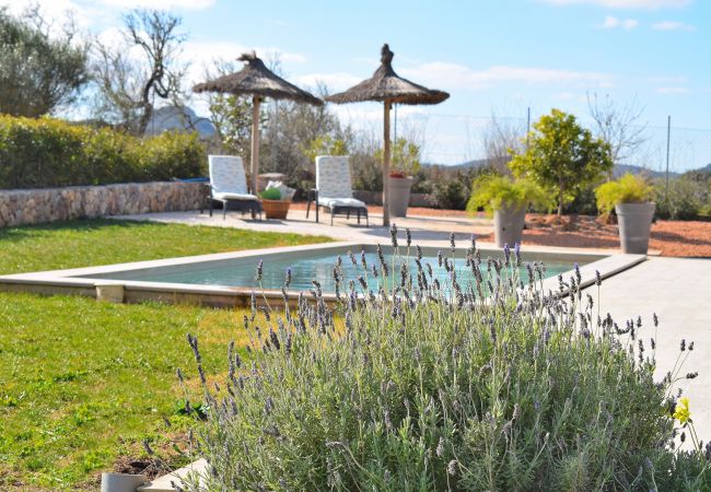 Country house in Sineu - Son Alcaines Petit 249 cosy finca with private pool, terrace, barbecue and WiFi Country house in Sineu - Son Alcaines Petit 249 cosy finca with private pool, terrace, barbecue and WiFi
