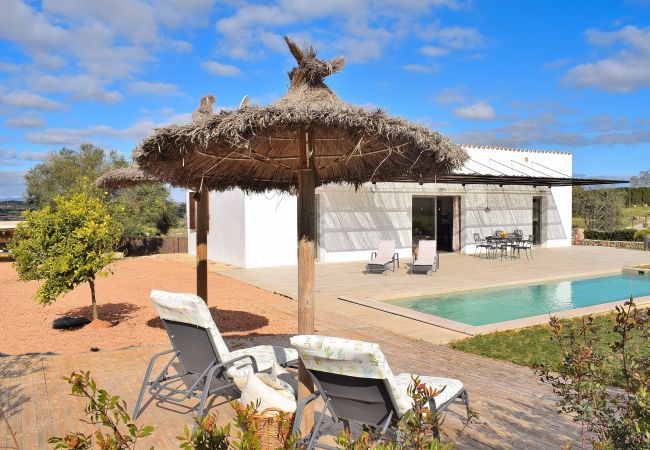 Country house in Sineu - Son Alcaines Petit 249 cosy finca with private pool, terrace, barbecue and WiFi Country house in Sineu - Son Alcaines Petit 249 cosy finca with private pool, terrace, barbecue and WiFi