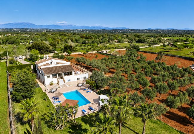  in Ariany - Calderitx 253 fantastic finca with private pool, children's playground, barbecue and terrace