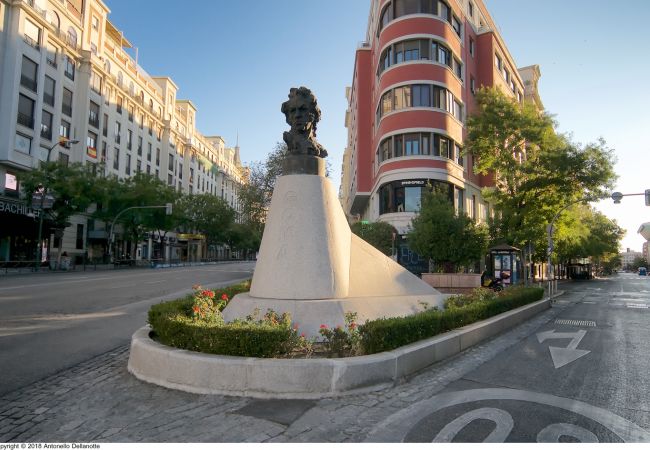 Studio in Madrid - Ground floor studio in Goya, Madrid Studio in Madrid - Ground floor studio in Goya, Madrid