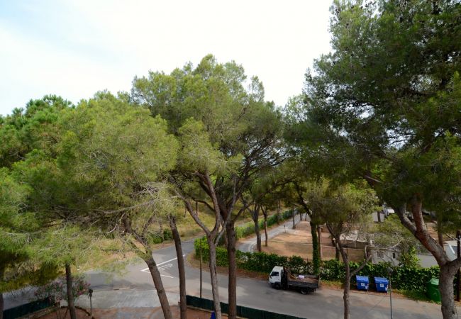 Apartment in Pals - BOSMAR 3G Apartment in Pals - BOSMAR 3G