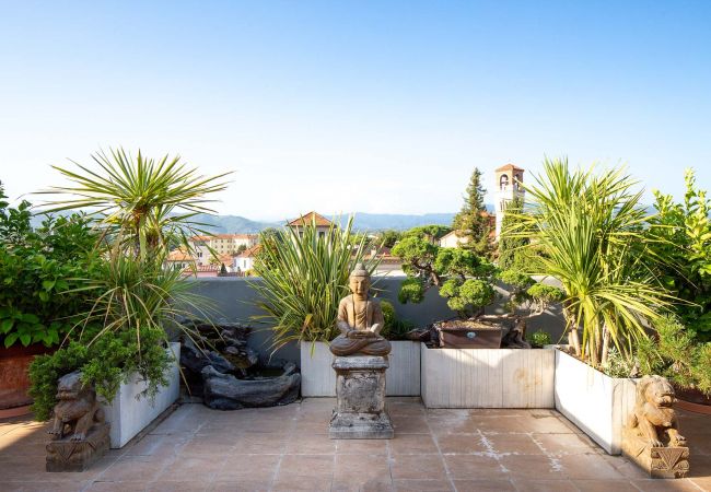 Apartment in Lucca - Casa Dieter, a superb 2 bedrooms Apartment with Grand Terrace and private parking in Central Lucca Apartment in Lucca - Casa Dieter, a superb 2 bedrooms Apartment with Grand Terrace and private parking in Central Lucca