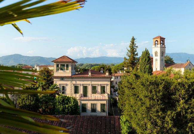 Apartment in Lucca - Casa Dieter, a superb 2 bedrooms Apartment with Grand Terrace and private parking in Central Lucca Apartment in Lucca - Casa Dieter, a superb 2 bedrooms Apartment with Grand Terrace and private parking in Central Lucca