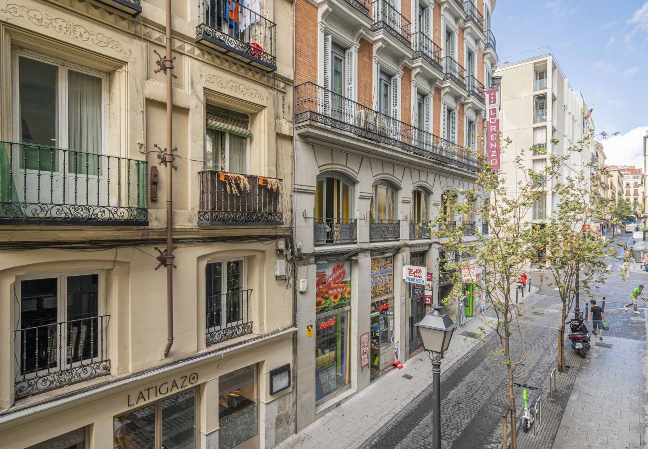 Apartment in Madrid - Hermoso apartamento  Plaza Zerolo INF1D Apartment in Madrid - Hermoso apartamento  Plaza Zerolo INF1D