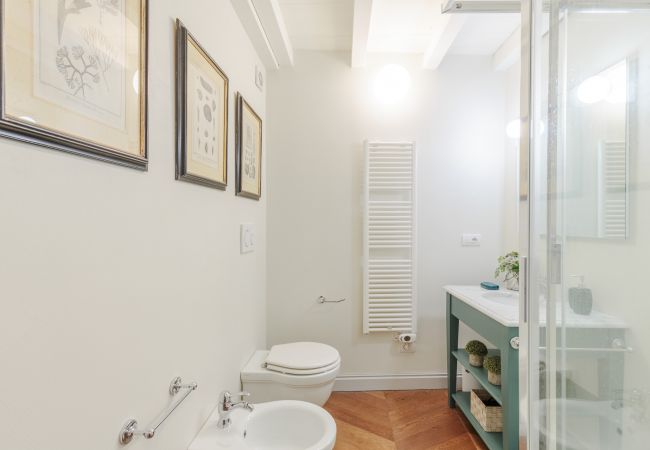 Apartment in Lucca - Casa Edgar, elegant and classy first floor apartment inside the walls of Lucca Apartment in Lucca - Casa Edgar, elegant and classy first floor apartment inside the walls of Lucca