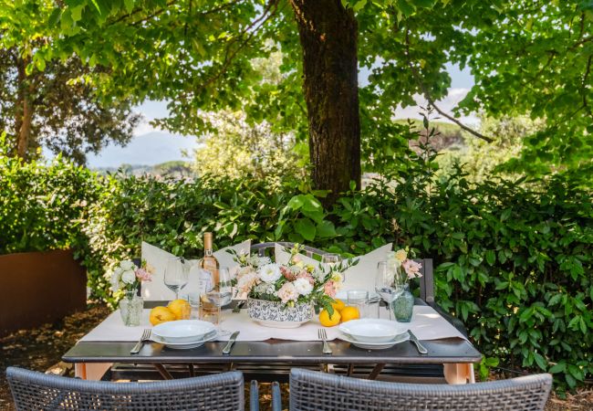 Apartment in Monte San quirico - Maria Farmhouse Apartment in Wine Resort in Lucca Apartment in Monte San quirico - Maria Farmhouse Apartment in Wine Resort in Lucca