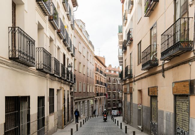 Apartment in Madrid - Apartamento Rastro de Madrid Cascorro  Apartment in Madrid - Apartamento Rastro de Madrid Cascorro