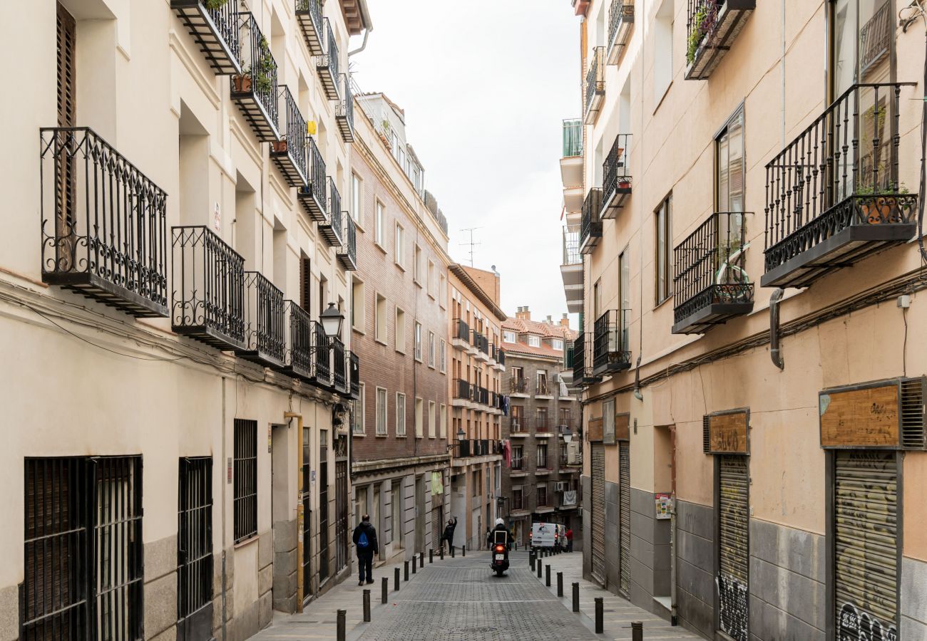 Apartment in Madrid - Apartamento Rastro de Madrid Cascorro  Apartment in Madrid - Apartamento Rastro de Madrid Cascorro