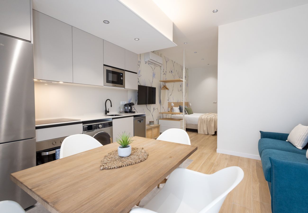 Studio in Valencia / València - Turia Park Loft III | 4 Guests | AC and WiFi | Near ZOO