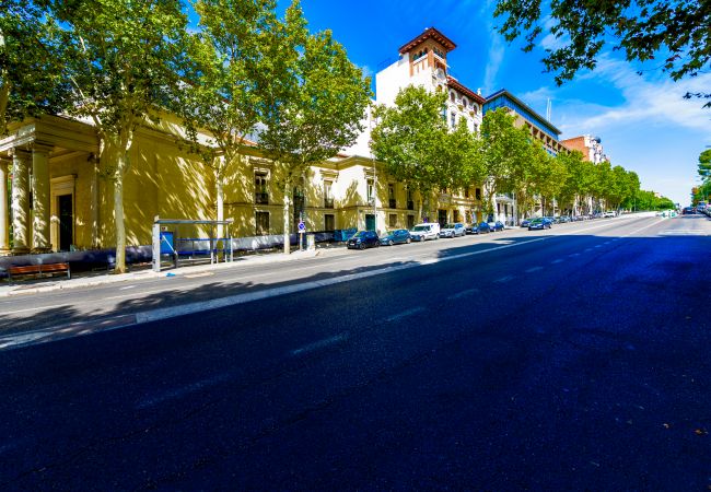 Apartment in Madrid - Retiro Park Apartment in Madrid - Retiro Park