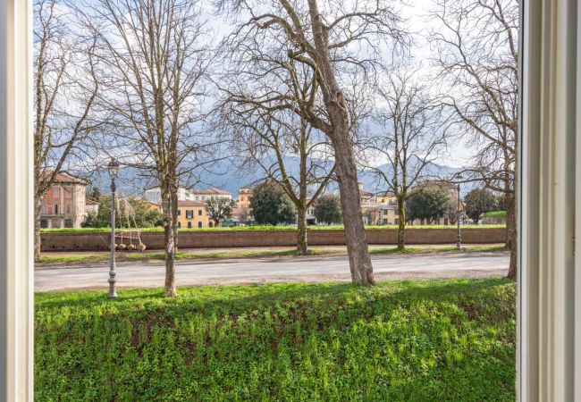 Apartment in Lucca - Casa Daria, Modern 4 Bedrooms Apartment inside the Walls of Lucca  Apartment in Lucca - Casa Daria, Modern 4 Bedrooms Apartment inside the Walls of Lucca