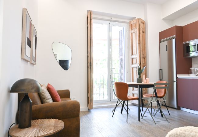Studio in Madrid - Central and Bright Apartment in Madrid  Studio in Madrid - Central and Bright Apartment in Madrid