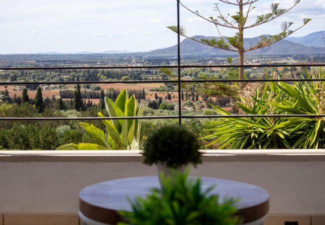 House in Muro - Town house with all amenities 275 House in Muro - Town house with all amenities 275