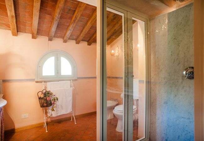 Villa in Lucca - Romantic Farmhouse with Oversize Panoramic Pool Villa in Lucca - Romantic Farmhouse with Oversize Panoramic Pool